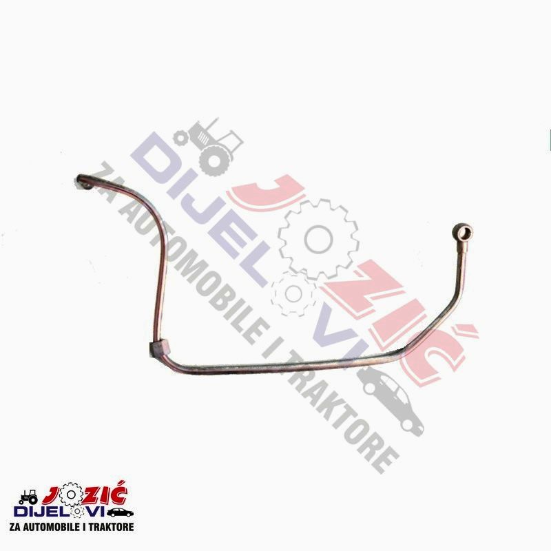 Daisy on the Ohoopee